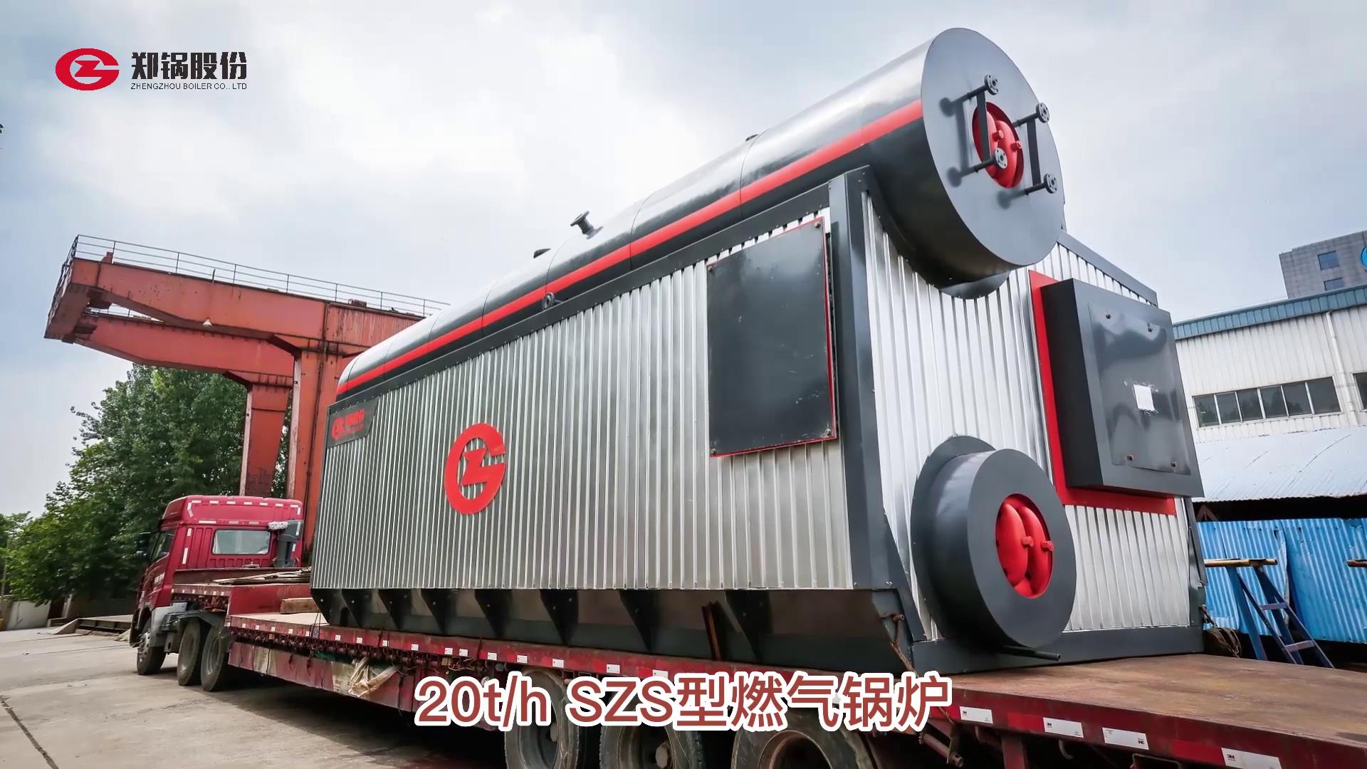 尊龙集团20吨燃气锅炉出口伊朗