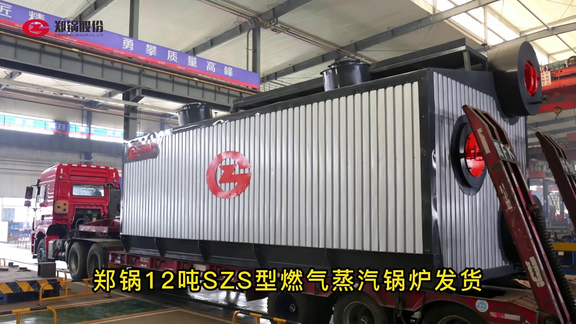 尊龙集团12吨燃气锅炉发货
