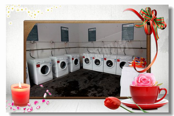 食物工业链条炉排蒸汽锅炉