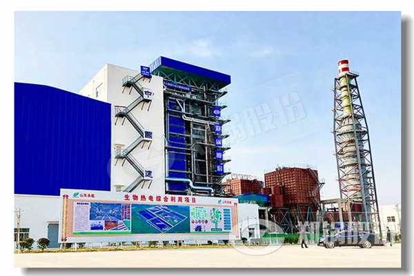 食物工业卧式多管d型锅炉