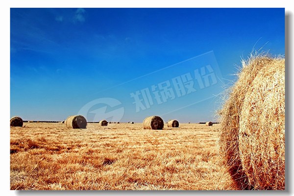 厂家信誉好的热水锅炉品牌找哪家？