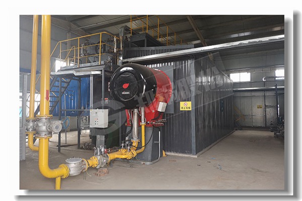 工业锅炉燃烧用的煤中的硫（S）由几部分组成？有何：？