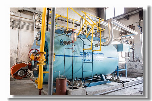 食物工业用燃气锅炉