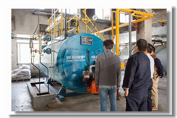 小型水汽两用锅炉炉型参数是几多？？