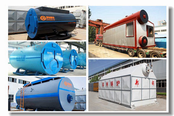 生物质立式两用蒸汽锅炉有哪些型号？？？