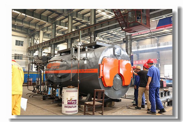 4吨燃生物质颗粒锅炉有哪些性能参数？？