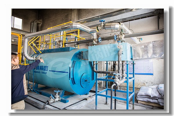 节能锅炉通用工业装备价钱