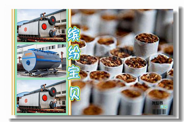 蒸汽锅炉的燃料应为自然气