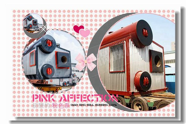 燃煤蒸汽锅炉停炉有哪些注重事项？？