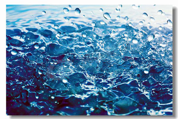 两吨生物质锅炉几多钱？？